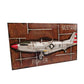 OMH 1943 Mustang P-51 Fighter 3D Model Painting Frame AJ117