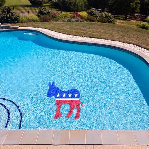 Democratic Party Underwater Pool Mat Tattoo