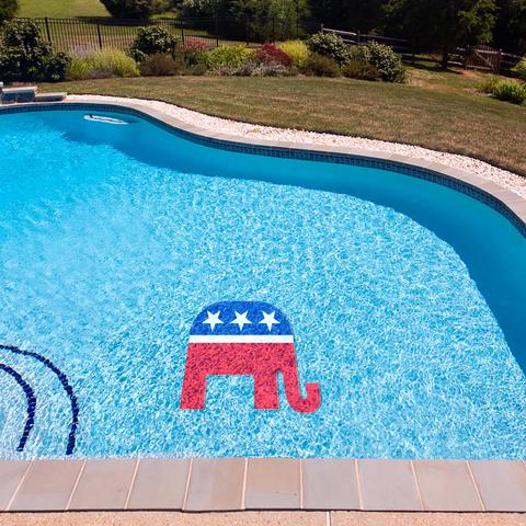 Republican Party Underwater Pool Mat Tattoo