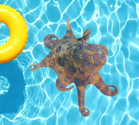 Orange Octopus Underwater Pool Mat Tattoo