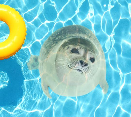 Seal Underwater Pool Mat Tattoo