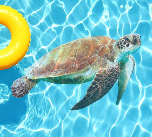 Sea Turtle Underwater Pool Mat Tattoo