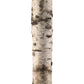 Jaime Young Forrester Floor Lamp-D